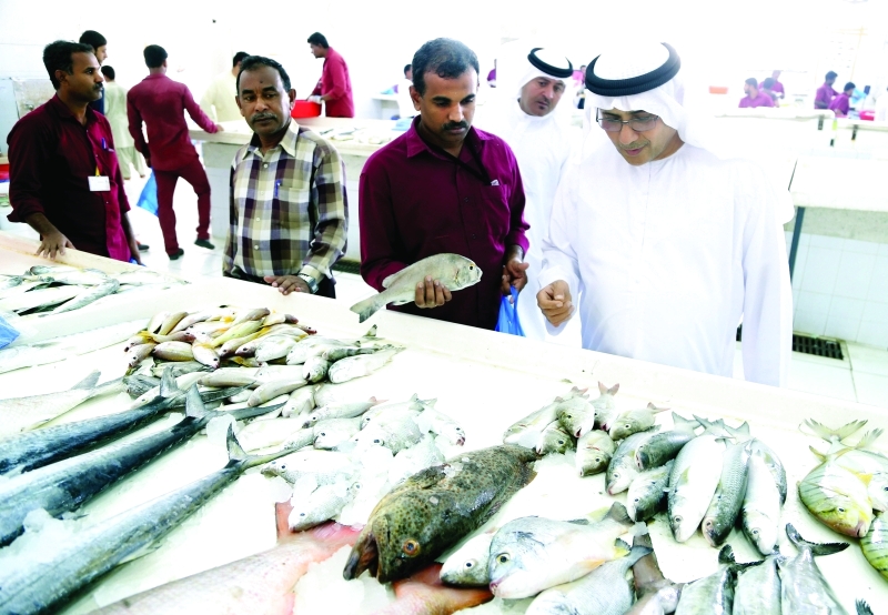 "توفير مكيفات في الساحات المخصصة لبيع الأسماك لحمايتها من التلف | البيان"