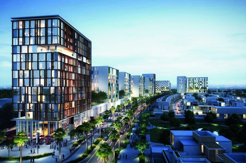 "النبض في دبي الجنوب"