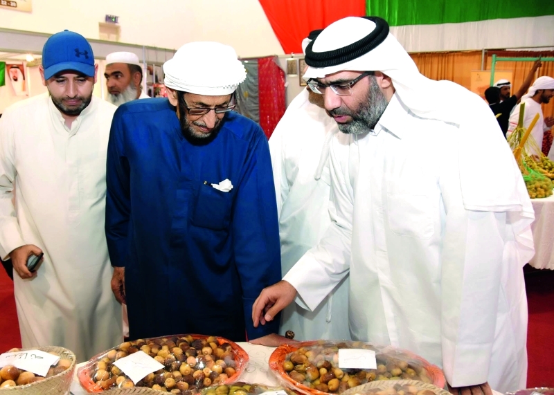 "■ زوار المهرجان يتفحصون الرطب"