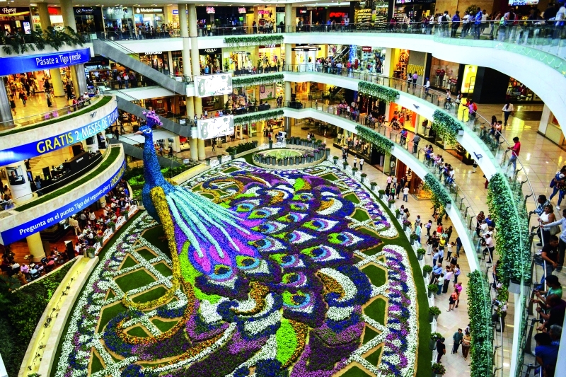 طاووس الزهور