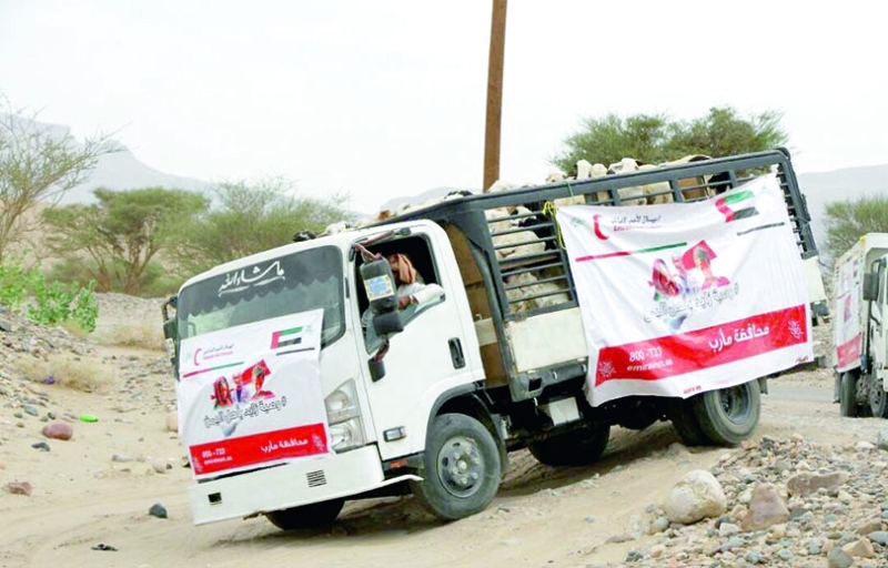 "هيئة الهلال خلال توزيعها مساعدات إنسانية على أسر الشهداء والجرحى بمديرية مدغل | وام"