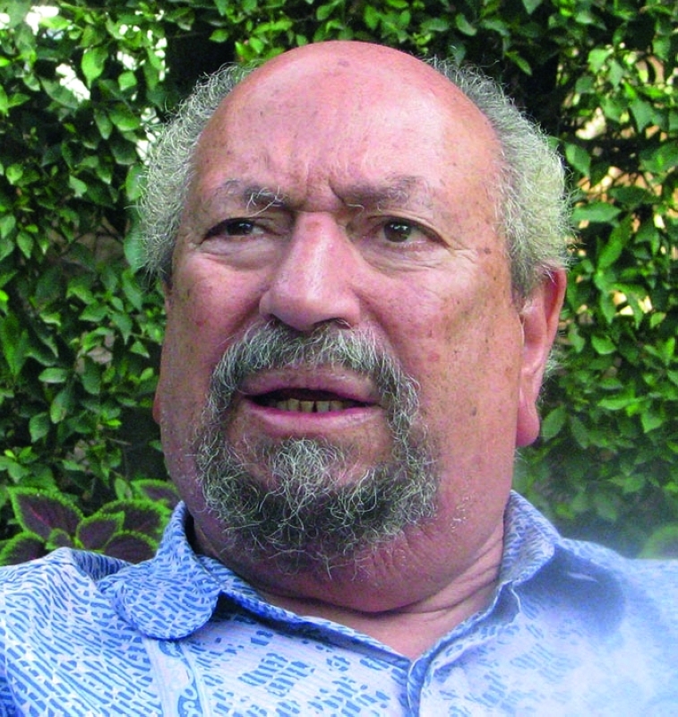 "سعد الدين إبراهيم"
