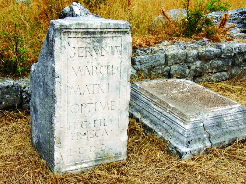 "حطام دوكليجا"