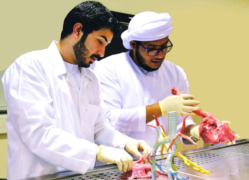 "Ⅶبكالوريوس العلوم البيطرية في كليات التقنية العليا يحظى بأهمية لحاجة السوق له | البيان"