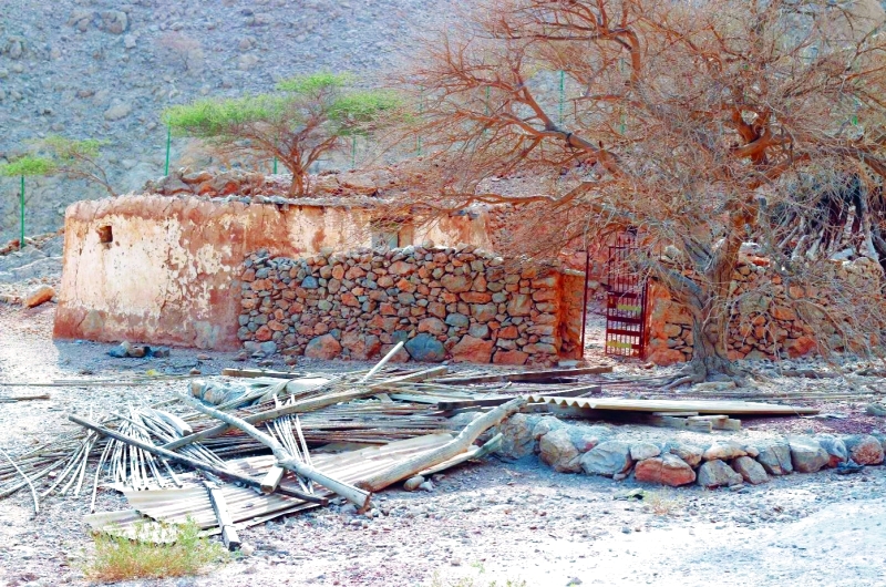 "■ الحياة كانت هنا"