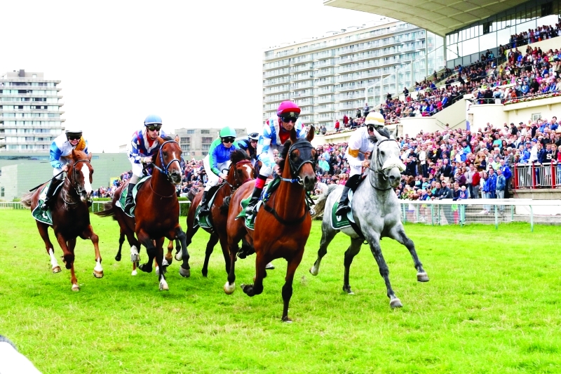 "■ دعم الإمارات ساهم في تطور سباقات الخيول العربية عالمياً | أرشيفية"