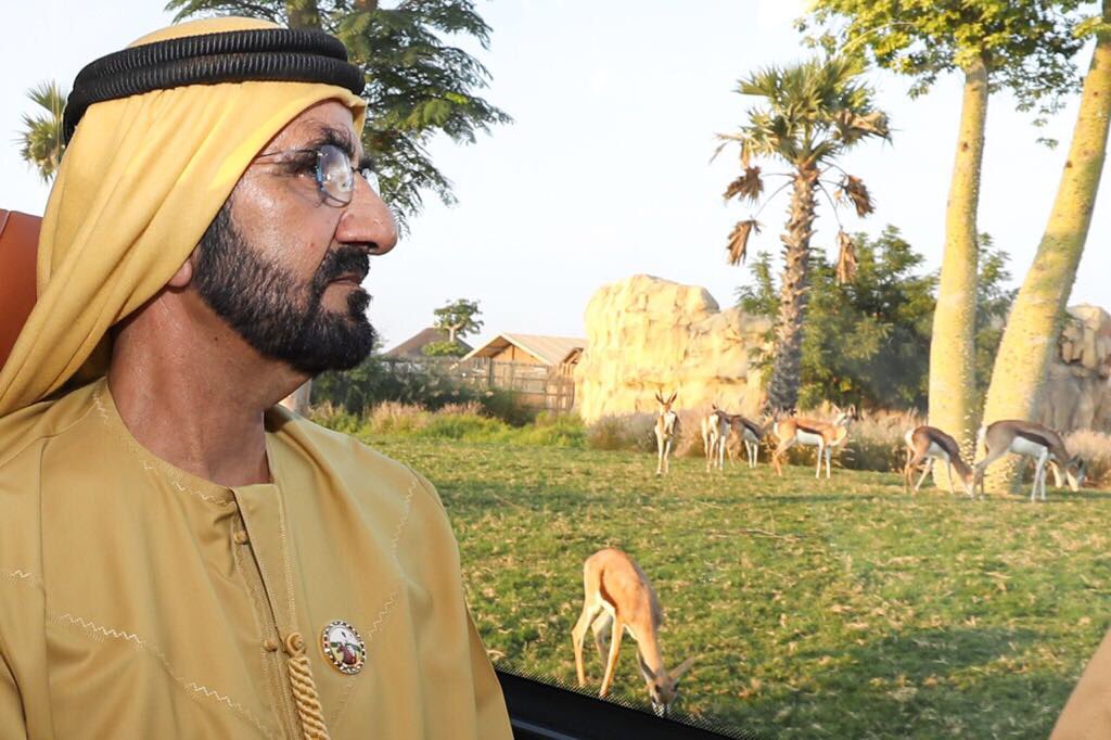 محمد بن راشد يزور "سفاري دبي"
