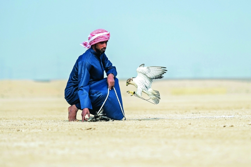 "الصقور المشاركة مدربة من قبل محترفين | البيان"