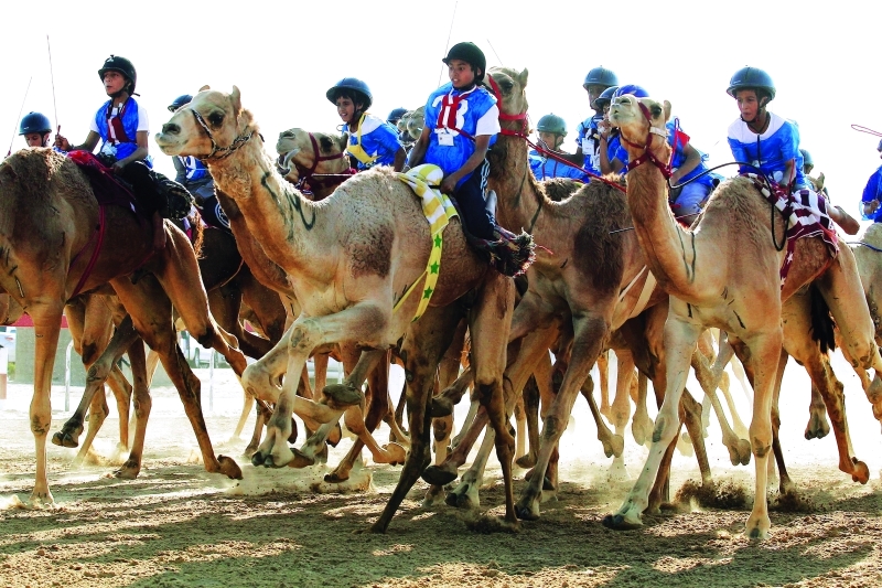"■ مشاركة كبيرة من نخبة المطايا الأصايل | البيان"