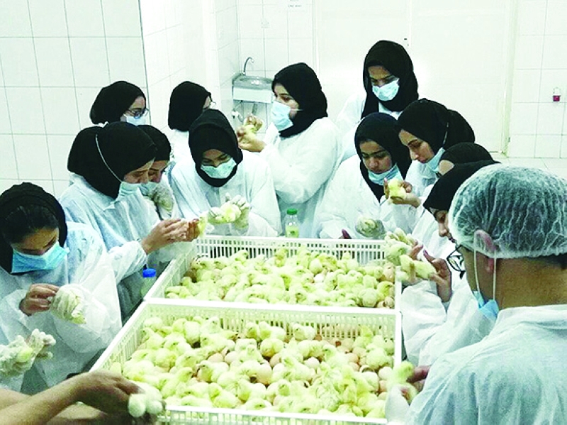 "الطالبات في مختبر فحص الدواجن"