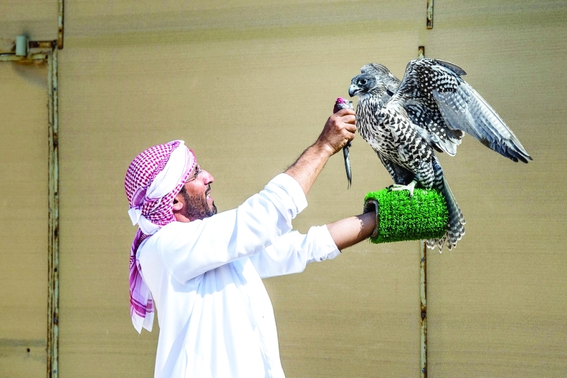 "حمد الفلاسي"