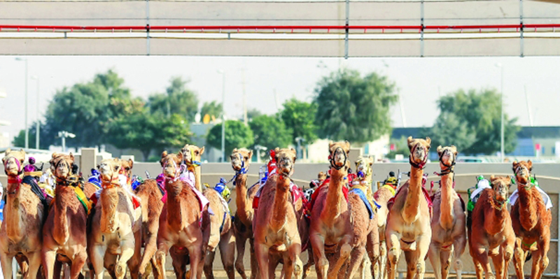 "جانب من المنافسات | البيان"