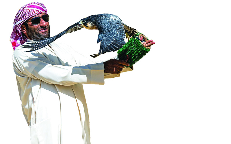 "سهيل الكندي يشارك في جميع فئات وأشواط البطولة"