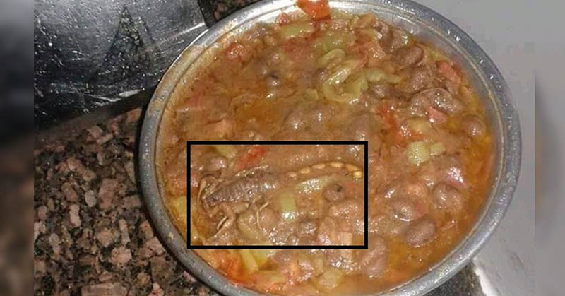 مصر .. العثور على "عقرب" في طبق فول بمدينة طالبات