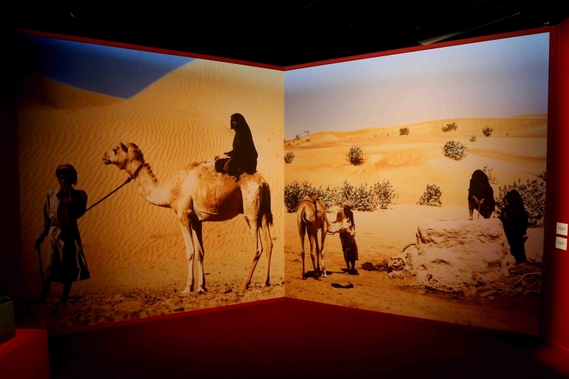 مهرجان «أم الإمارات» ينطلق على كورنيش أبوظبي اليوم