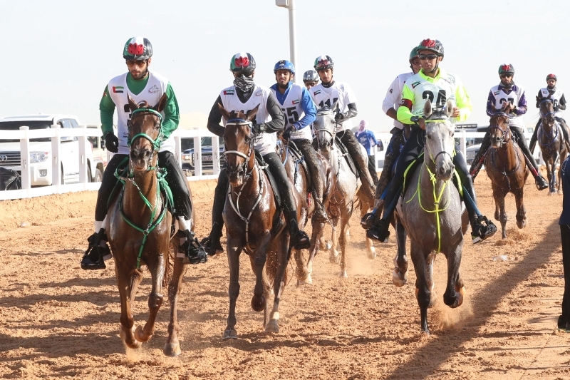 "من أحد سباقات القدرة بالوثبة البيان"