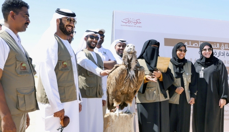 بلدية دبي تنقذ نسر «الرأس المجعّد» عبر الأقمار الصناعية