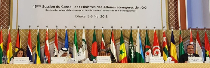 قرقاش: جهود الإمارات مستمرة في تخفيف معاناة الروهينغا