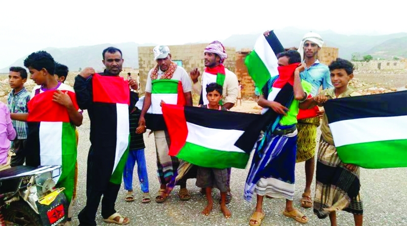 جهود إماراتية حثيثة لإعادة الحياة إلى سقطرى