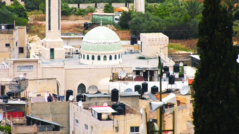 مكارم «زايد الخير»..   تنعش مخيم جنين