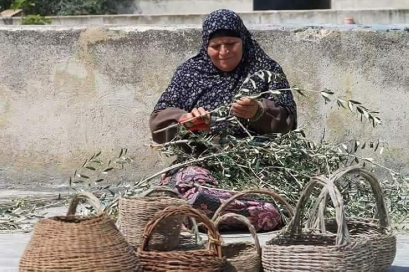 فلسطينيات يصنعن من أغصان الزيتون أواني وسلالاً