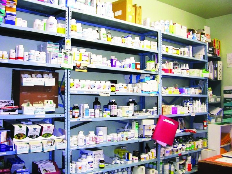 "Ⅶ خيارات متنوعة توفرها سياسة دائرة الصحة الجديدة | من المصدر"