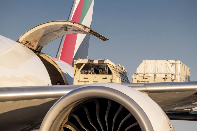 طيران الإمارات تكمل  أكبر عملية نقل جوي للخيول في تاريخ الفروسية