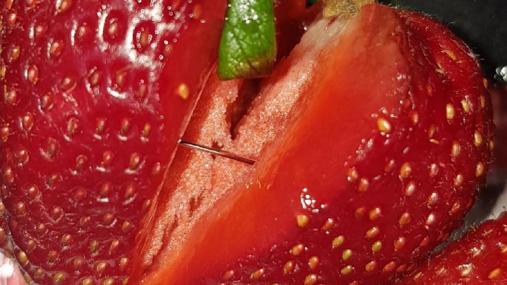 أستراليا تجري تحقيقا حكوميا بعد العثور على إبر في الفراولة