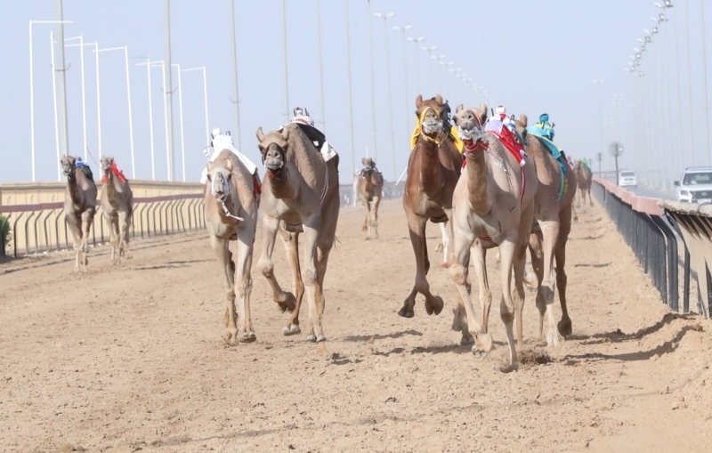 "السباق شهد تنافساً مثيراً | البيان"