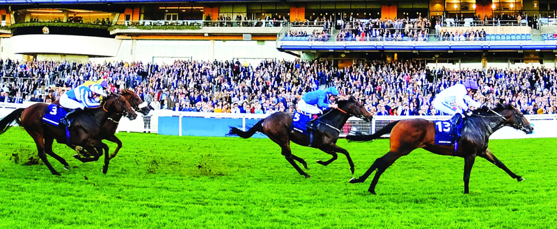 "«هاري آنجل» لجودلفين حل وصيفاً في الشوط الثاني | من المصدر"