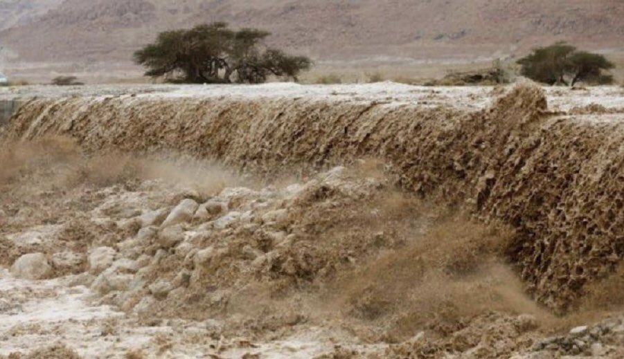 الأردن: حافلة الطلاب توجهت للبحر الميت بدلاً من منطقة الأزرق