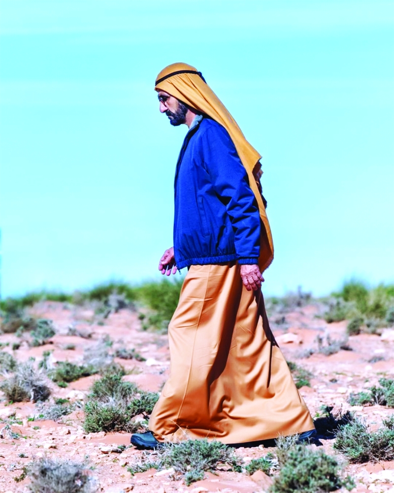 «نمشي على درب»..حكمة وجسارة محمد بن راشد