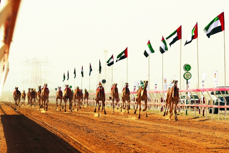 "إثارة وندية شهدتهما أشواط المهرجان | البيان"
