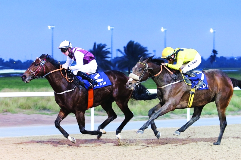 "من سباقات الخيل في مضمار العين | البيان"