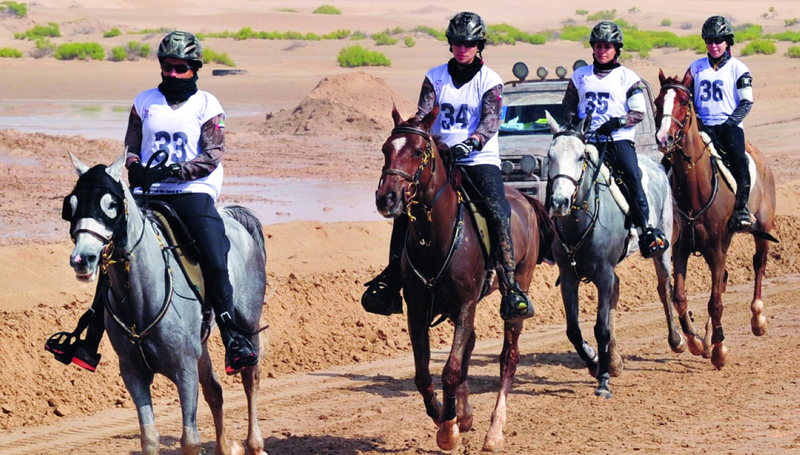 "Ⅶ سباقات القدرة علاقة خاصة بين الفارس والخيل | البيان"