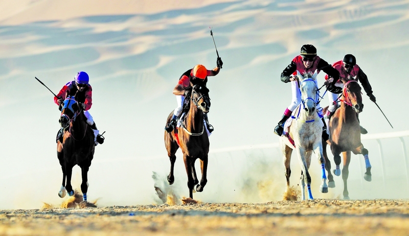 "من منافسات سباقات الخيول بمنطقة ليوا | البيان"
