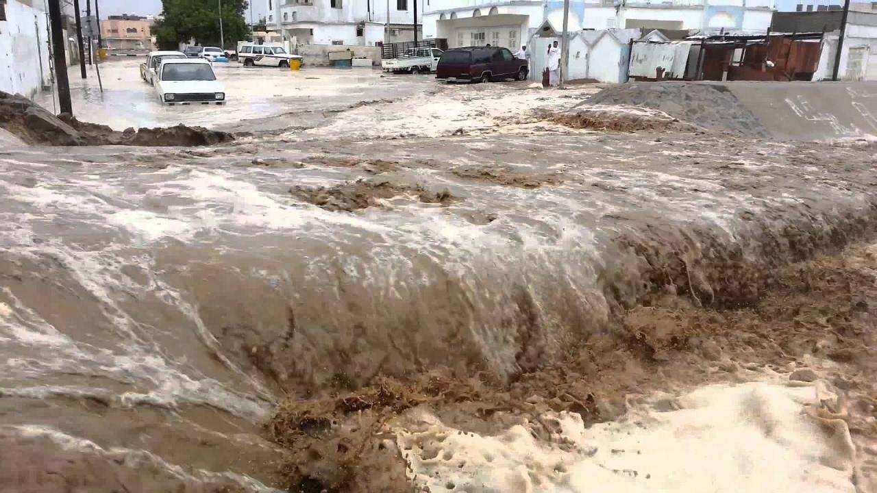 وفاة 11 شخصا على الأقل في سيول في إيران