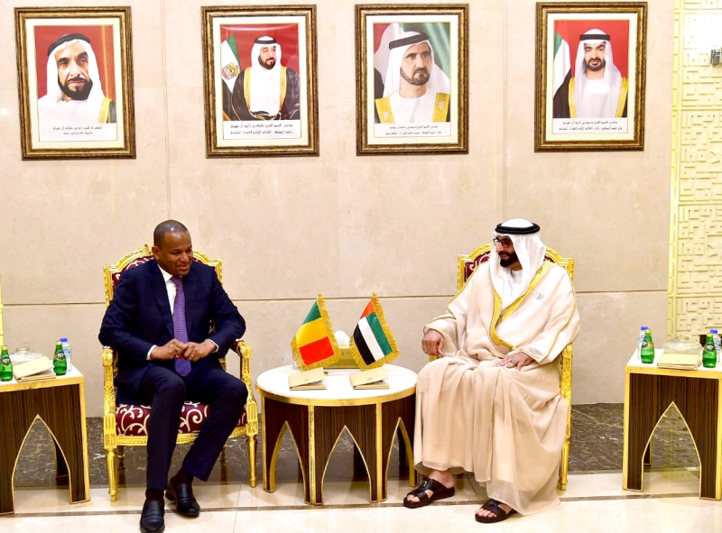 محمد البواردي ورئيس وزراء مالي يبحثان علاقات التعاون