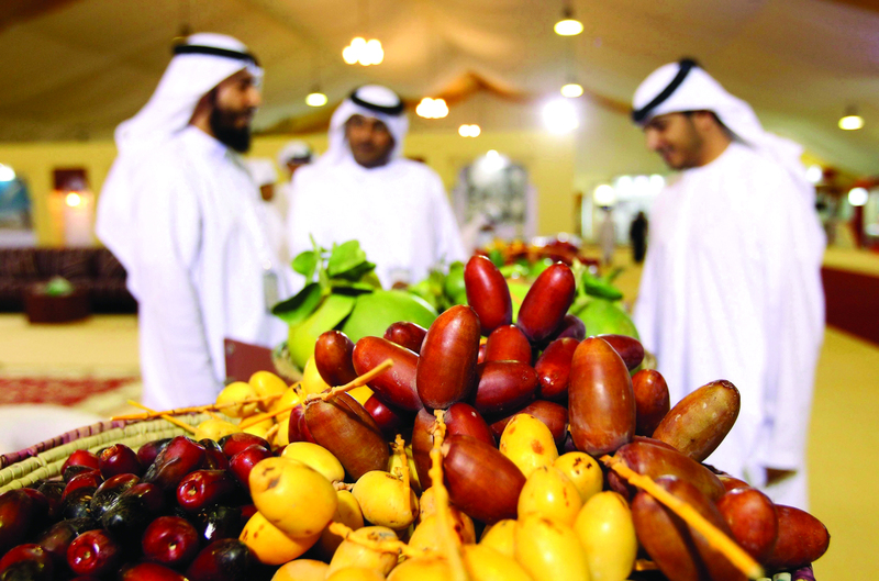 ليوا .. مدينة التاريخ والواحات تزدان خضرة بنخيلها