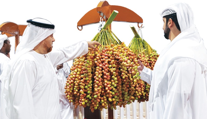 منتجات إماراتية مبتكرة من النخيل في «مهرجان ليوا»