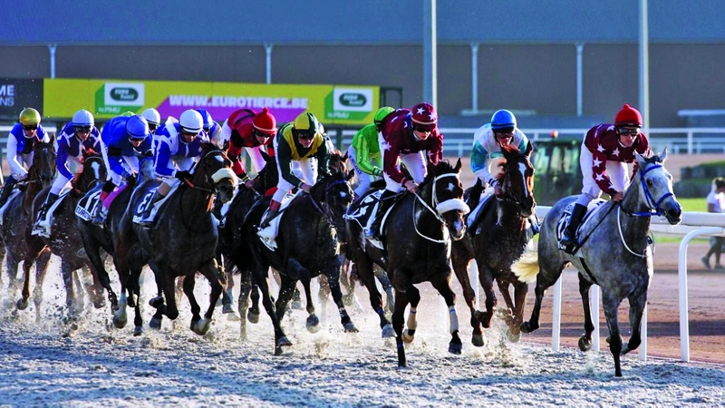 "من منافسات سباق الخيل بمضمار غلين في بلجيكا | البيان"