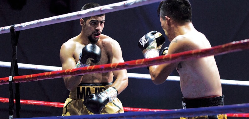 "بطولة دبي للملاكمة حظيت بمشاركة أبرز النجوم | البيان"