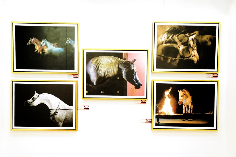 "من اللوحات الفائزة في مسابقة التصوير الضوئي | أرشيفية"