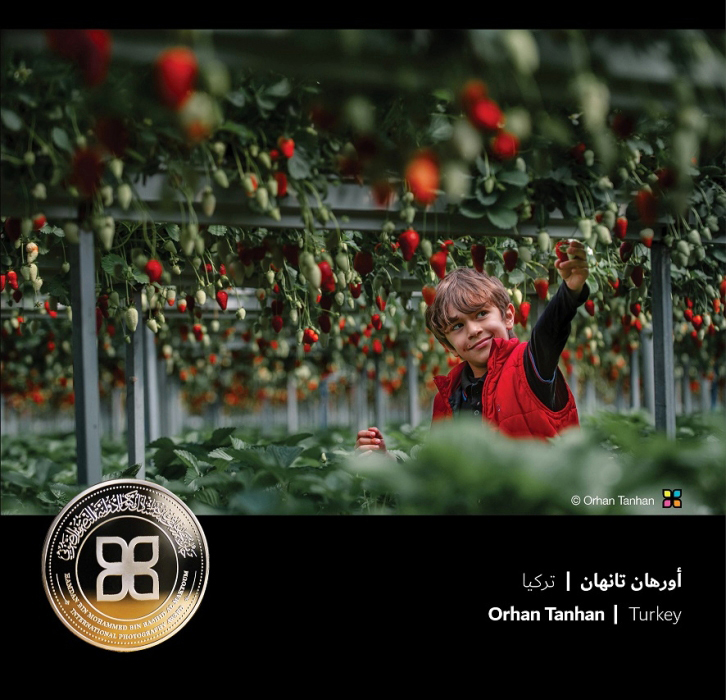 جائزة حمدان بن محمد للتصوير تعلن عن فائزي «الحصاد»