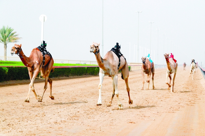 "جانب من المنافسات | البيان"