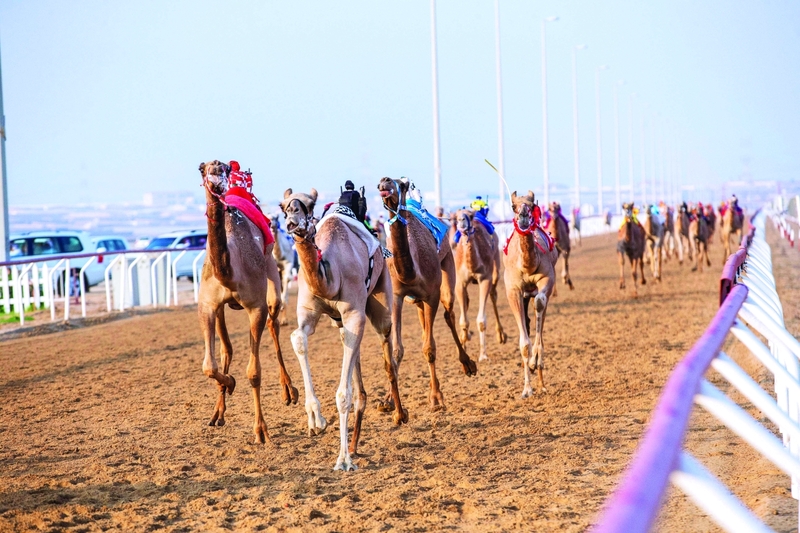"جانب من المنافسات | البيان"