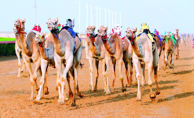 "جانب من المنافسات | البيان"