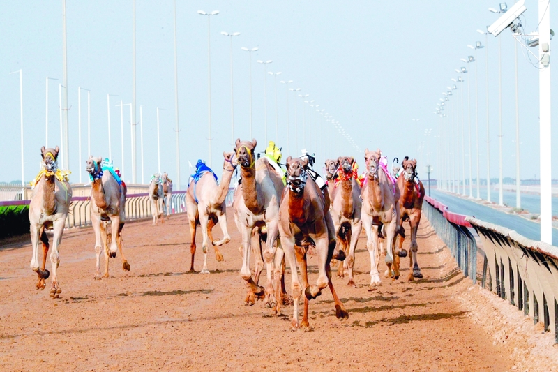 "جانب من المنافسات | البيان"