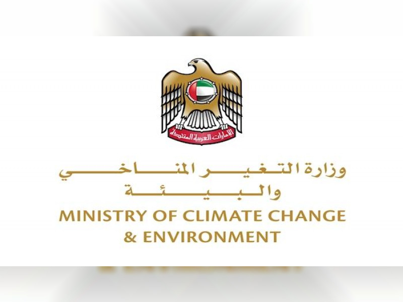 الإمارات تسمح بصيد الأسماك السطحية بواسطة التحويط