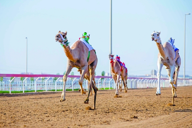 "أرشيفية"